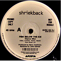 Shriekback Fish Below The Ice Vinyl USED