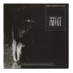 Private Lives From A River To A Sea USED VINYL 7INCH SINGLE 45 RPM