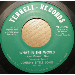 John Littlejohn What In The World (You Gonna Do) / Can't Be Still Vinyl 7" USED