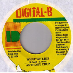 Anthony Cruz / Niki Berch What We Like / Good By My Love USED VINYL 7INCH 45 RPM