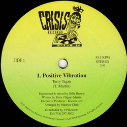 Terry Tigan Positive Vibration Vinyl 12" USED