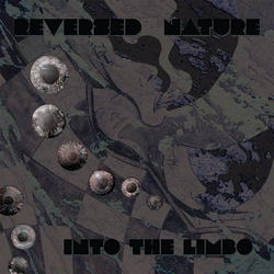 Reversed Nature Into The Limbo Vinyl LP USED