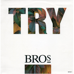 Bros Try Vinyl 7" USED