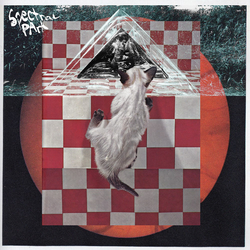 Spectral Park Spectral Park Vinyl LP USED