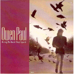 Owen Paul Bring Me Back That Spark USED VINYL 7INCH 45 RPM SINGLE