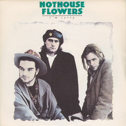 Hothouse Flowers I'm Sorry USED VINYL 7INCH 45 RPM SINGLE