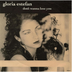 Gloria Estefan Don't Wanna Lose You Vinyl 7" USED