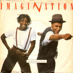 Imagination Instinctual Vinyl 7" USED
