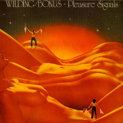 Danny Wilding / Peter Bonas Pleasure Signals Vinyl LP USED