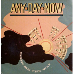 Any Day Now Show Me The Way (Grand Groove) USED VINYL 7INCH 45 RPM