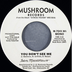 Iain Matthews You Don't See Me Vinyl 7" USED