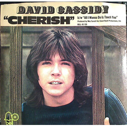David Cassidy Cherish b/w All I Wanna Do Is Touch You USED VINYL 7INCH 45 RPM SINGLE STYRENE