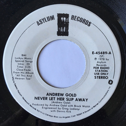 Andrew Gold Never Let Her Slip Away Vinyl 7" USED
