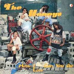 The Honey's How Low (Can You Go) Vinyl 12" USED