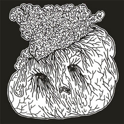 Birth Refusal / Cassis Cornuta Untitled Vinyl LP USED