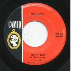 Peter Antell Night Time Vinyl 7" USED