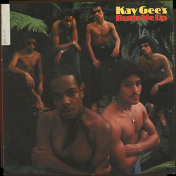 The Kay-Gees Burn Me Up Vinyl LP USED