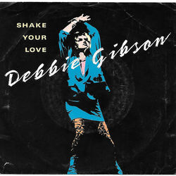 Debbie Gibson Shake Your Love Vinyl 7" USED