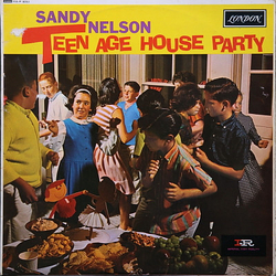 Sandy Nelson Teenage House Party Vinyl LP USED