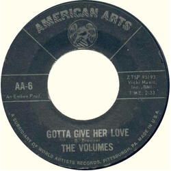The Volumes Gotta Give Her Love USED VINYL 7INCH 45 RPM