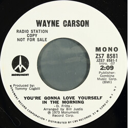 Wayne Carson You're Gonna Love Yourself In The Morning USED VINYL 7INCH 45 RPM PROMO STEREO MONO