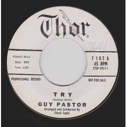 Guy Pastor Try / Crazy Feelin' USED VINYL 7INCH 45 RPM SINGLE PROMO