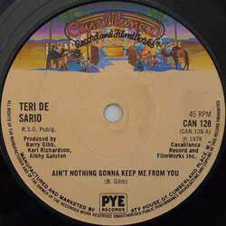 Teri Desario Ain't Nothing Gonna Keep Me From You USED VINYL 7INCH 45 RPM SINGLE