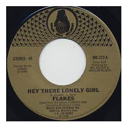 Flakes Hey There Lonely Girl USED VINYL 7INCH 45 RPM STEREO