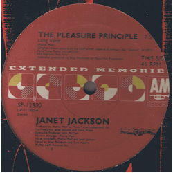 Janet Jackson The Pleasure Principle / Don't Stand Another Chance Vinyl 12" USED