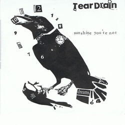 Teardrain Sunshine You're Not USED VINYL 7INCH