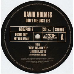 David Holmes Don't Die Just Yet USED VINYL 12INCH 33 S RPM PROMO STEREO