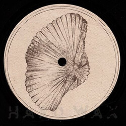 Roberto (23) / Jamie Anderson Billingsella Corrugata USED VINYL 12INCH 45 RPM EP LIMITED EDITION