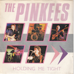 The Pinkees Holding Me Tight Vinyl 7" USED