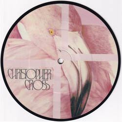 Christopher Cross No Time For Talk USED VINYL 7INCH 45 RPM SINGLE PICTURE DISC