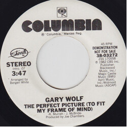 Gary Wolf The Perfect Picture (To Fit My My Frame Of Mind) USED VINYL 7INCH 45 RPM PROMO