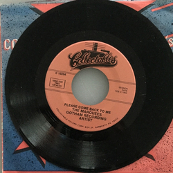 The Marquees (7) Please Come Back To Me / I Don't Want Your Love Vinyl 7" USED