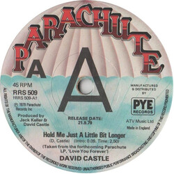 David Castle Hold Me Just A Little Bit Longer USED VINYL 7INCH PROMO