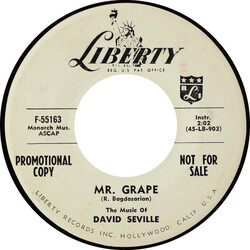 David Seville The Mountain USED VINYL 7INCH 45 RPM SINGLE PROMO MONO