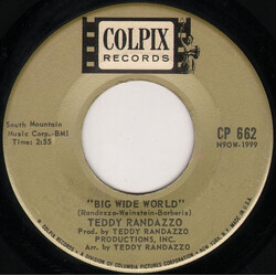 Teddy Randazzo Big Wide World / Be Sure My Love USED VINYL 7INCH 45 RPM SINGLE