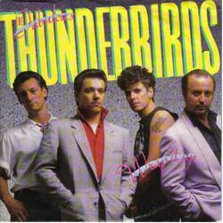 The Fabulous Thunderbirds Wrap It Up VINYL 7" USED