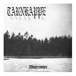 Tarnkappe Winterwaker Vinyl LP USED