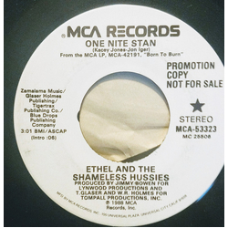 Ethel And The Shameless Hussies One Nite Stan Vinyl 7" USED