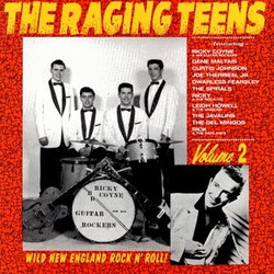 Various The Raging Teens Volume 2 Vinyl LP USED