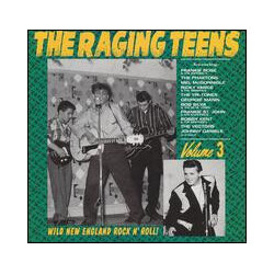 Various The Raging Teens Volume 3 Vinyl LP USED