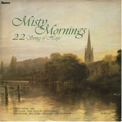 Various Misty Mornings (22 Songs Of Hope) Vinyl LP USED