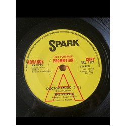 The Peppers Doctor Music Vinyl 7" USED