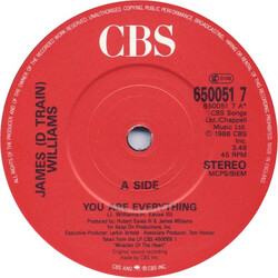 James "D-Train" Williams You Are Everything USED VINYL 7INCH 45 RPM SINGLE