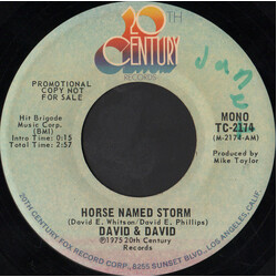 David And David Horse Named Storm USED VINYL 7INCH 45 RPM PROMO STEREO MONO