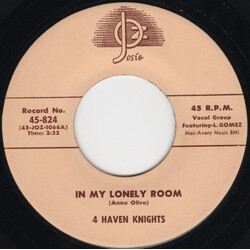 The 4 Haven Knights In My Lonely Room / I'm Just A Dreamer USED VINYL 7INCH 45 RPM REISSUE