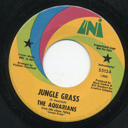 The Aquarians Jungle Grass / Adela Vinyl 7" USED